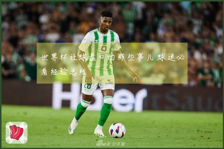 世界杯让球盘口的那些事儿 球迷必看经验总结