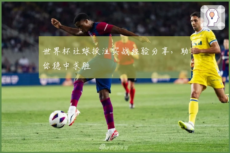 世界杯让球投注实战经验分享，助你稳中求胜