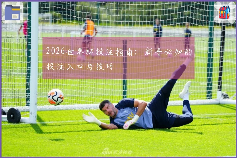 2026世界杯投注指南：新手必知的投注入口与技巧