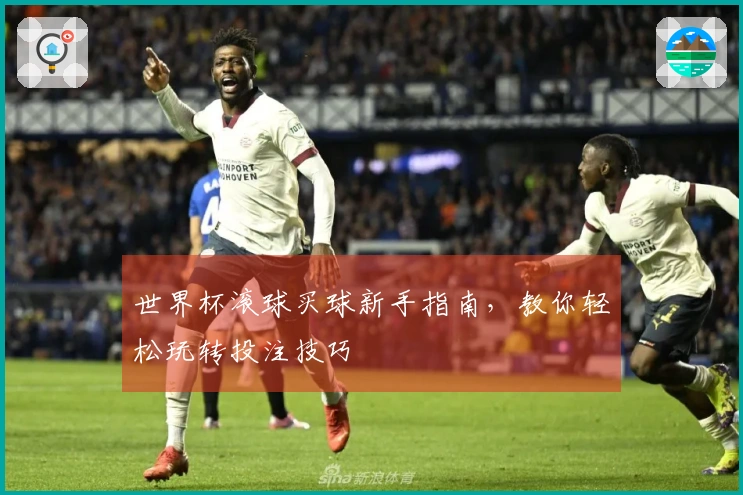 世界杯滚球买球新手指南，教你轻松玩转投注技巧