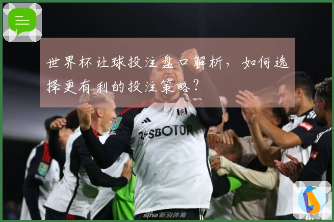 世界杯让球投注盘口解析，如何选择更有利的投注策略？
