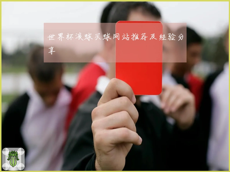 世界杯滚球买球网站推荐及经验分享