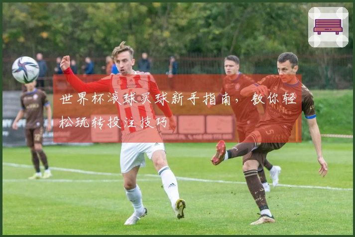 世界杯滚球买球新手指南，教你轻松玩转投注技巧
