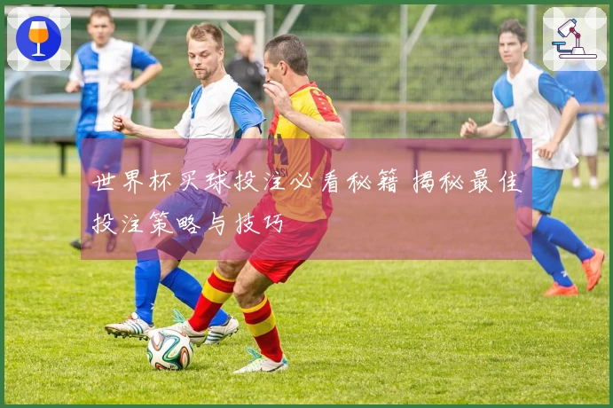 世界杯买球投注必看秘籍 揭秘最佳投注策略与技巧