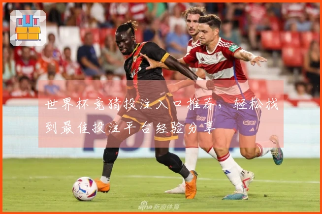 世界杯竞猜投注入口推荐，轻松找到最佳投注平台经验分享