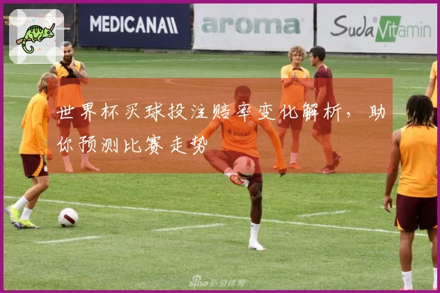 世界杯买球投注赔率变化解析，助你预测比赛走势
