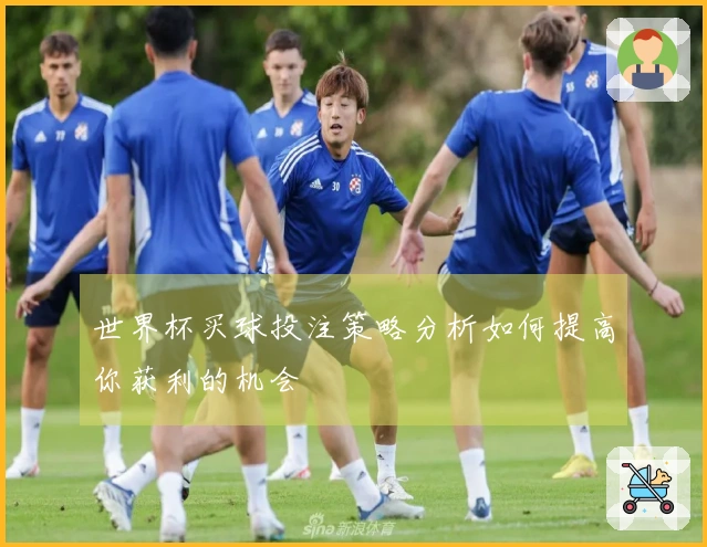 世界杯买球投注策略分析如何提高你获利的机会